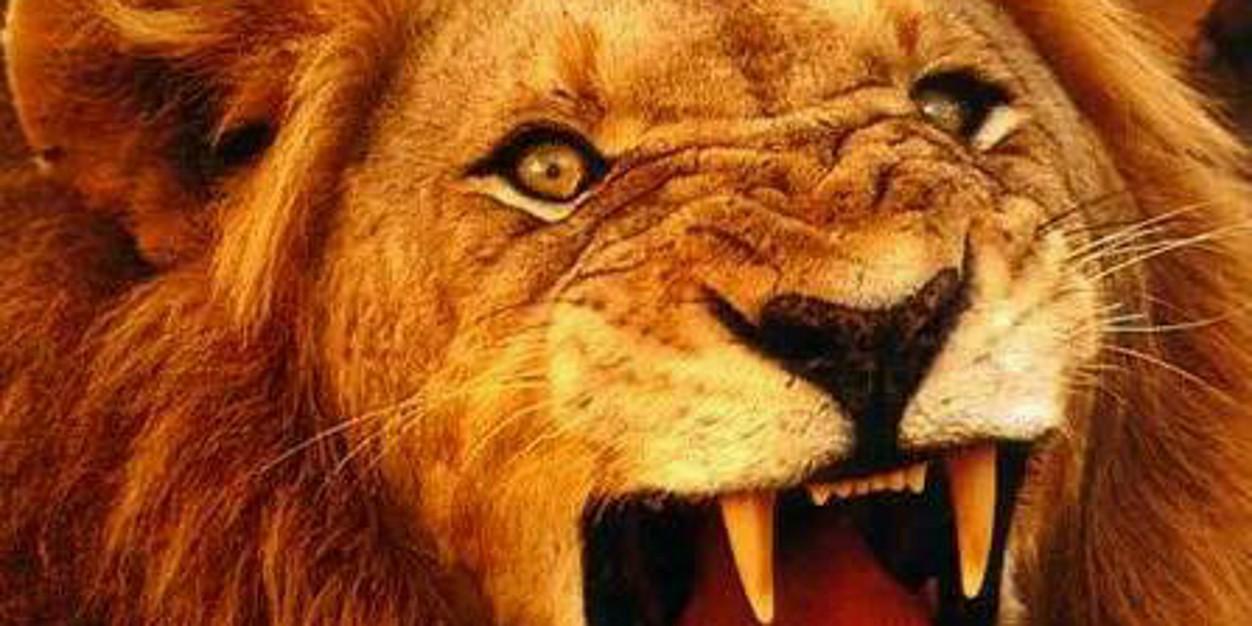 Tsangos82Samson's profile banner image