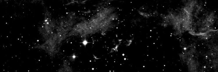 Elmar banner