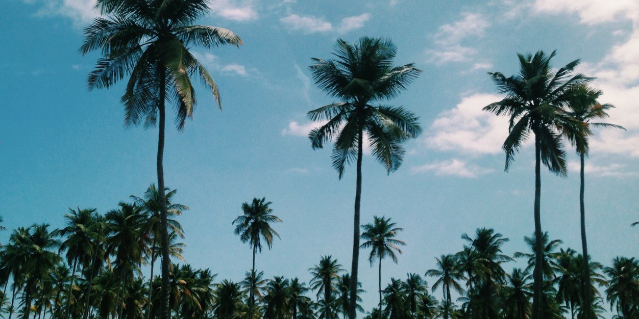 andree_a's profile banner image