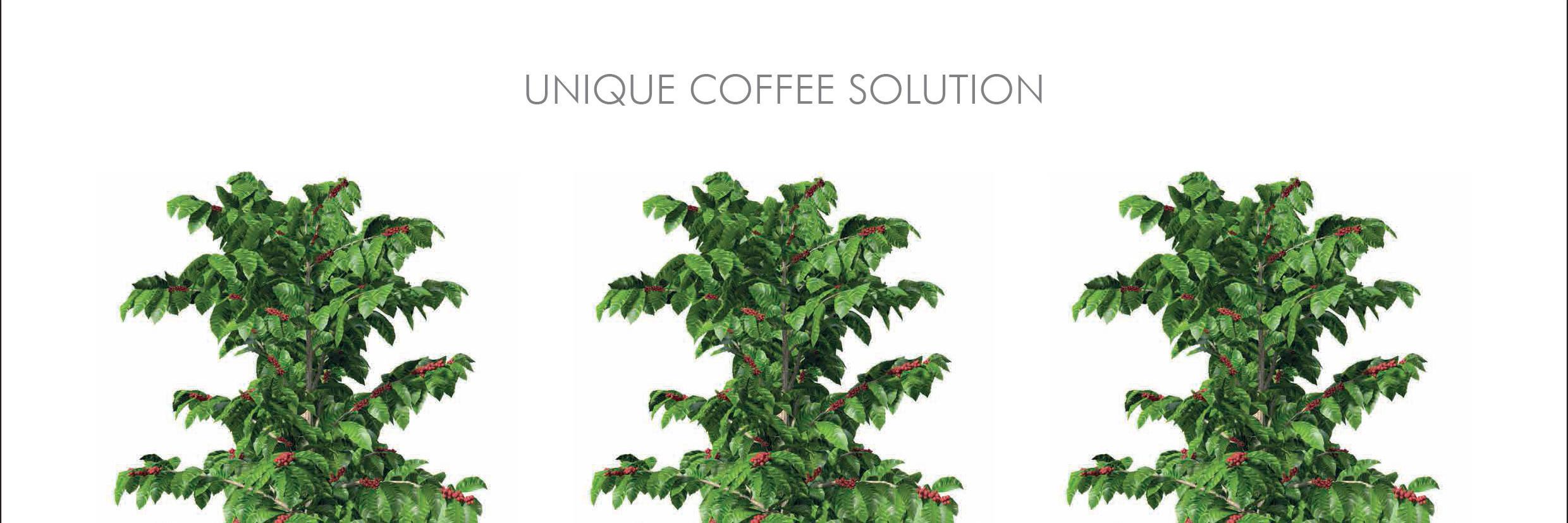 Caffe_River's profile banner image