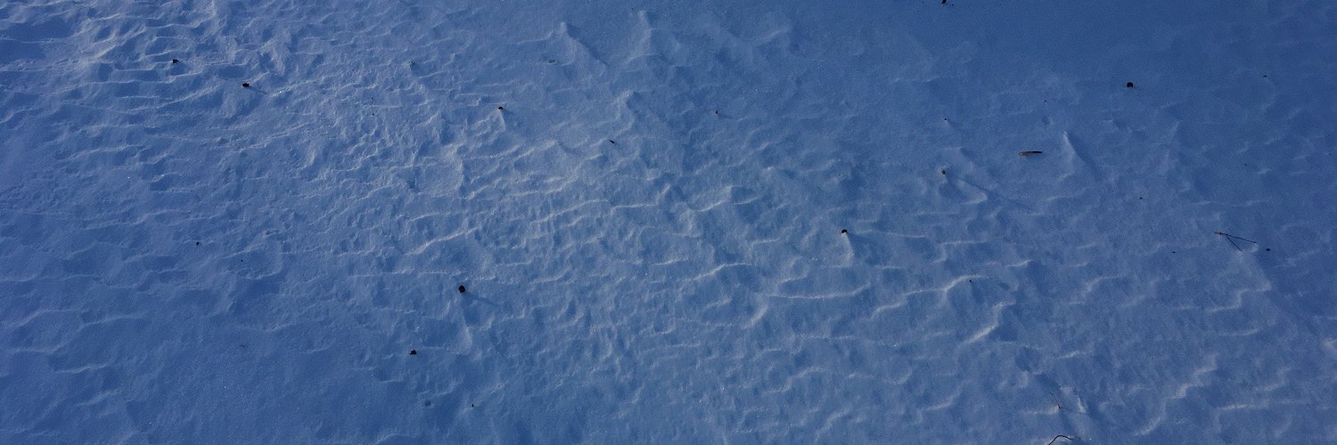 personal anatomical banner