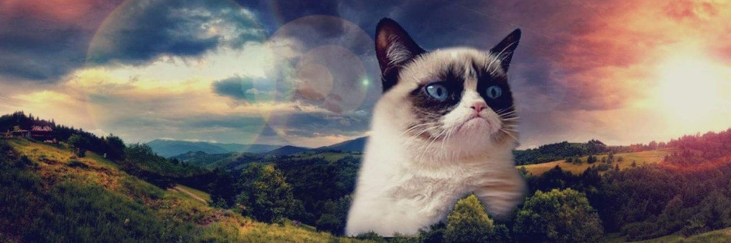 luftkorall's profile banner image
