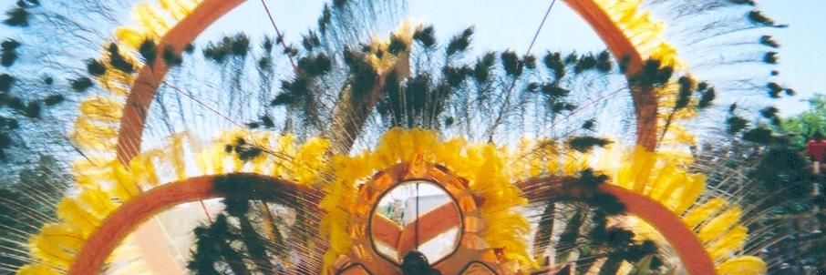 carnivalvision's profile banner image