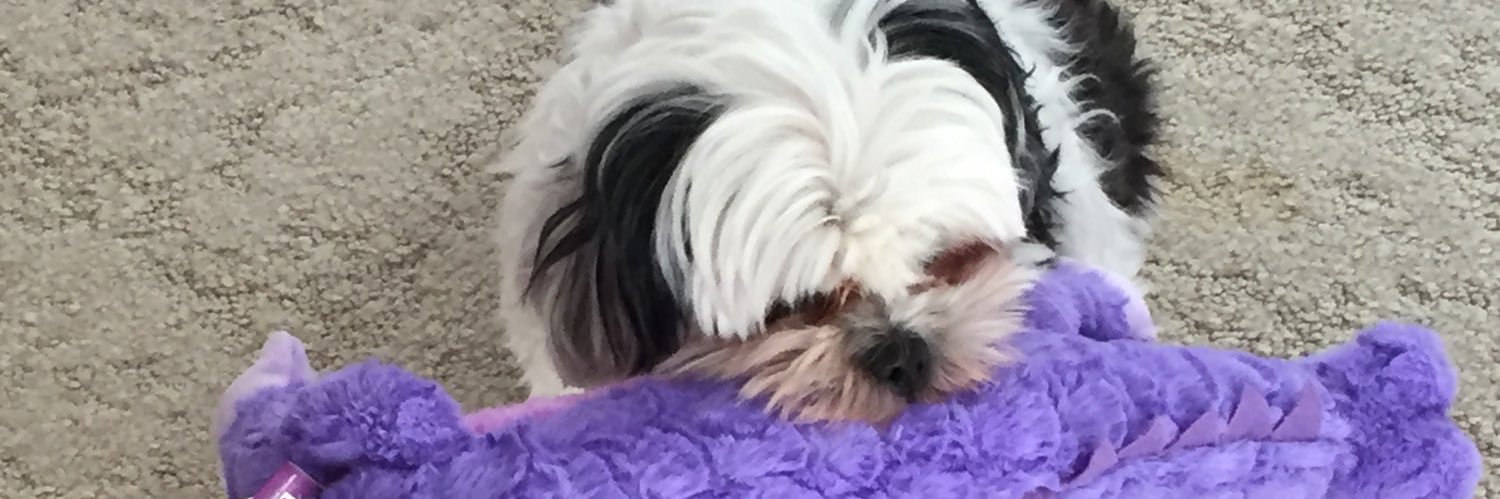 CurtTempest841's profile banner image
