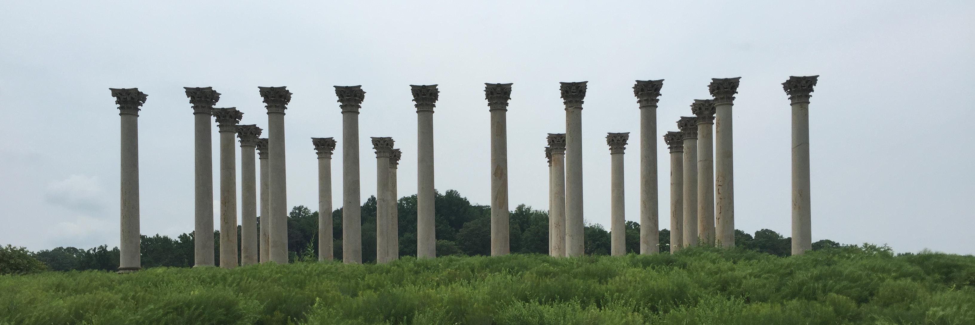 Jake Faleschini banner