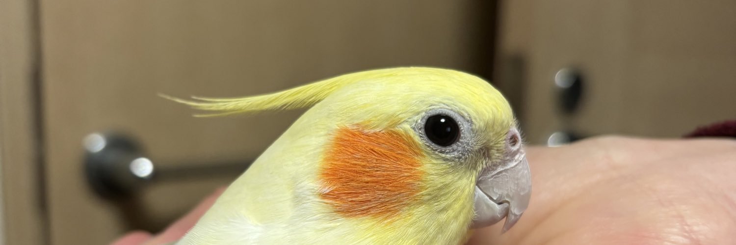 みちぽんず banner