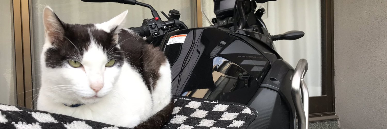 🐈‍⬛ぶん🐈 banner