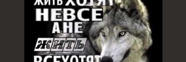 rAsputinkaa33's profile banner image