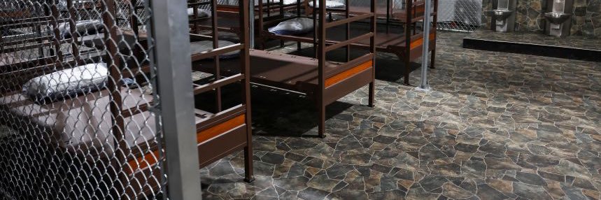 FactOrFiction100 banner