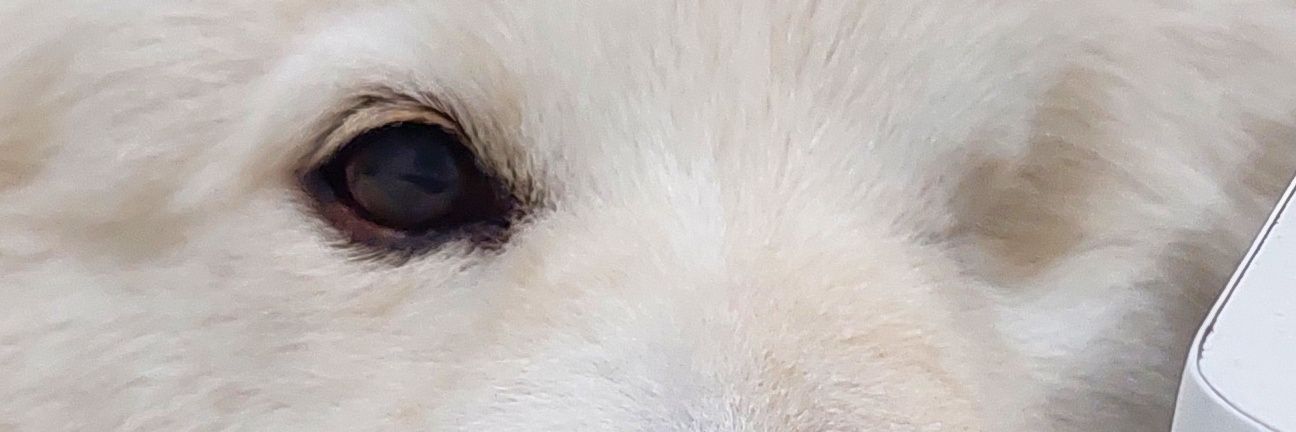 😎 banner