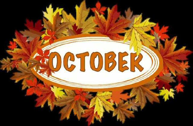 ID ALOMA (@IdAloma_SMM) / Posts / X