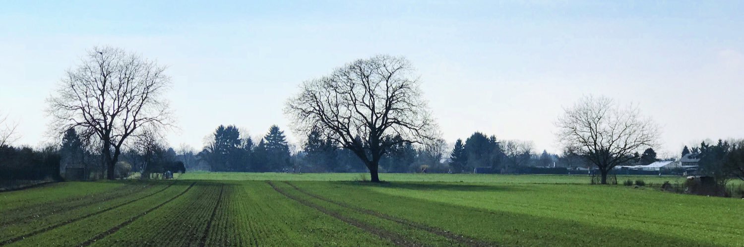dienstmüde ¯\_(ツ)_/¯ banner
