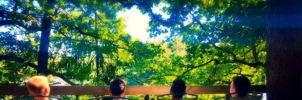 Zurioko2's profile banner image