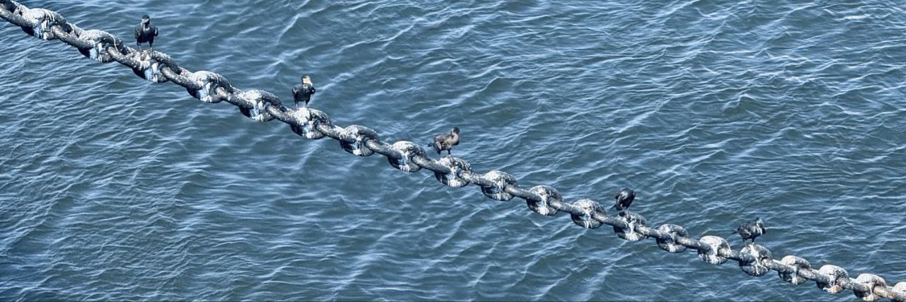 黑皮体育生 banner