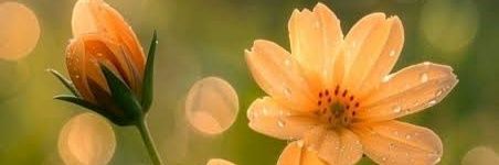 Benjaa_fon's profile banner image