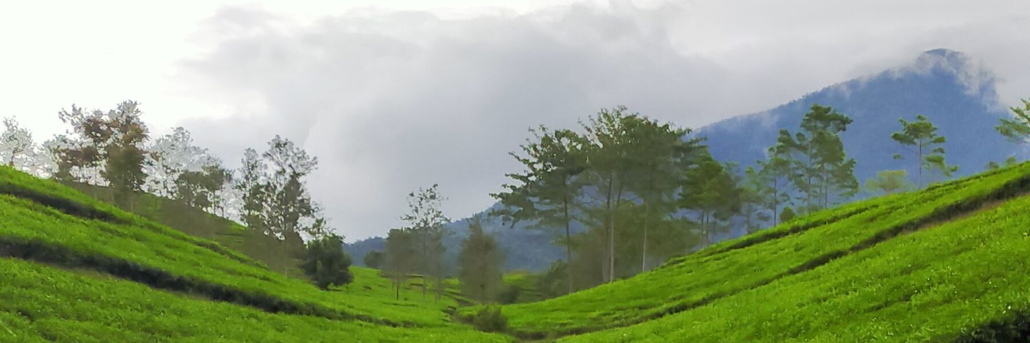 amirharaa's profile banner image
