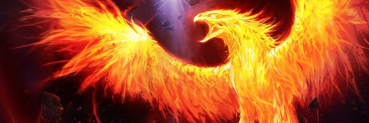 RallyWelfri's profile banner image