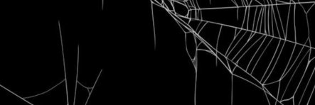 Black wi(n)dow banner
