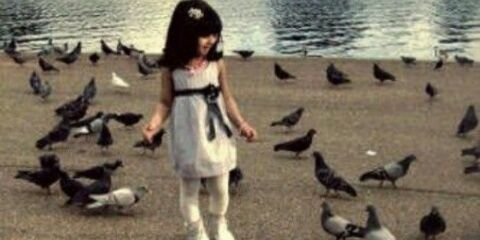 ♡وريف♡ banner