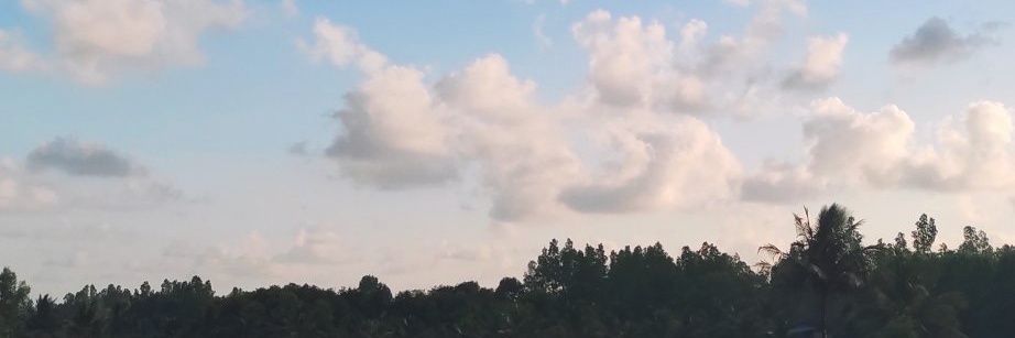 cuppybaraa's profile banner image