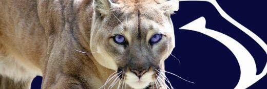 psushannon's profile banner image