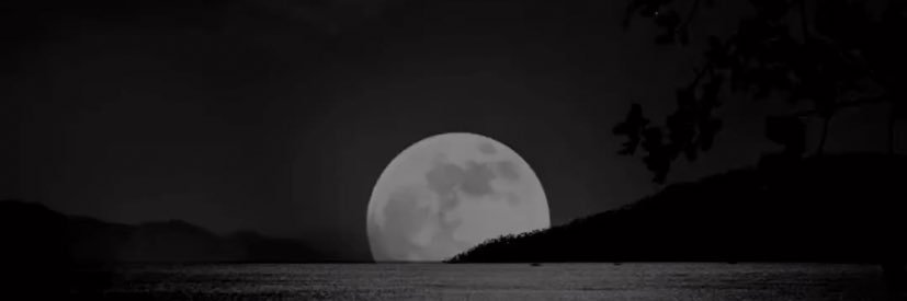 rawan_loqman's profile banner image