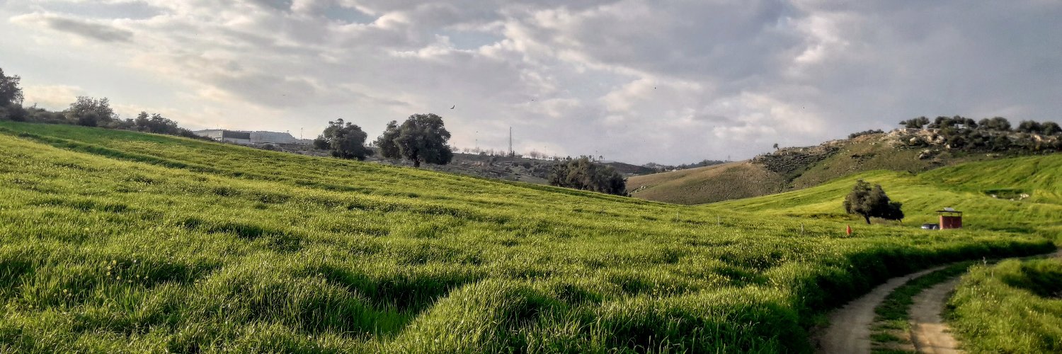 çimariva banner