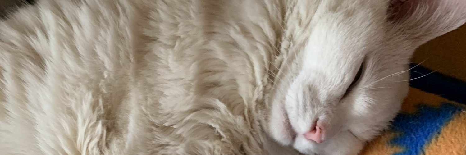 Hon4y888's profile banner image