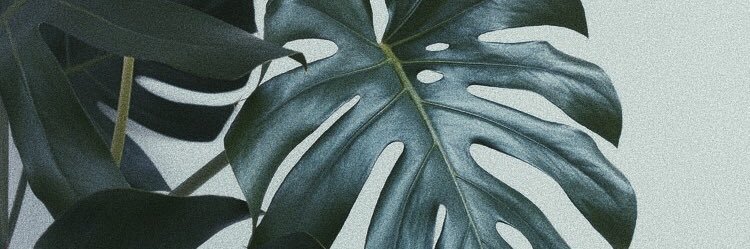Aimeeinf's profile banner image