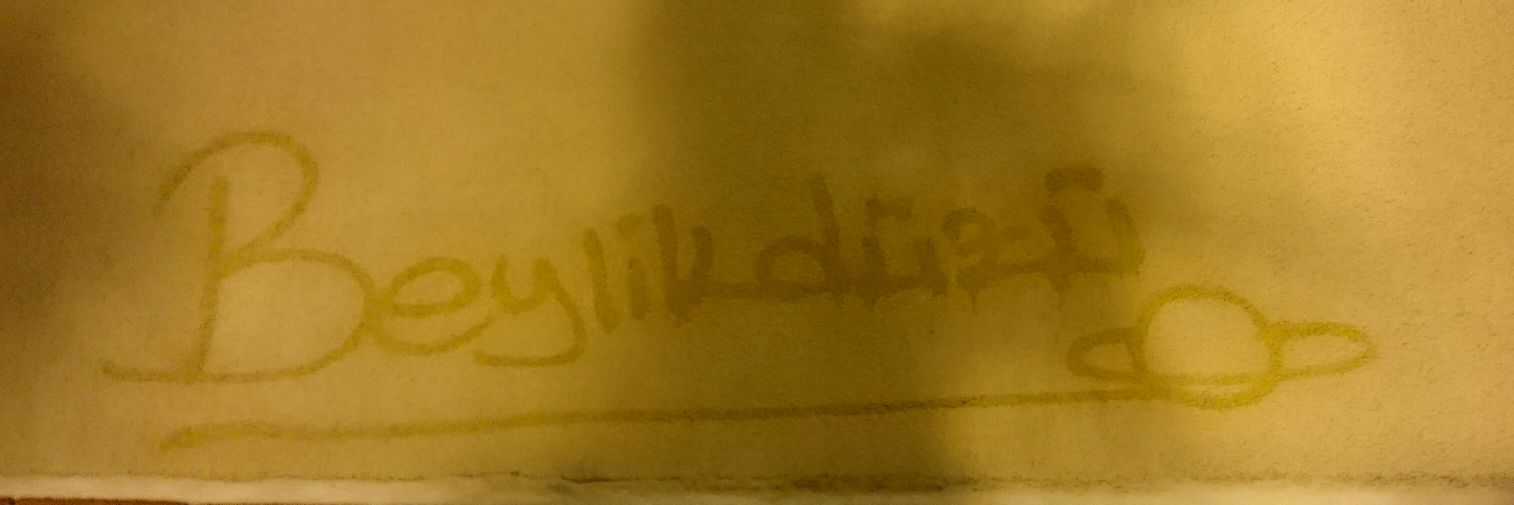 litityum's profile banner image