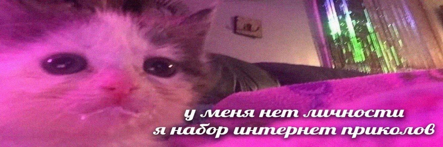 вбиф серф banner