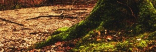 Sihar 🍊,💊 🟧 banner