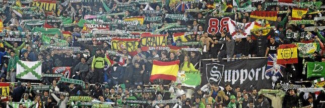 Pedro banner