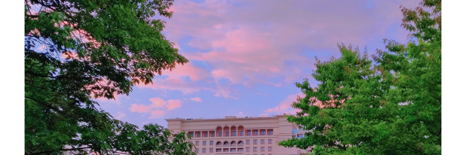 TEYA_ZHANG banner