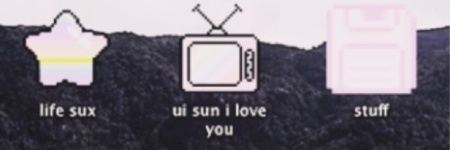 selenarpghwii's profile banner image