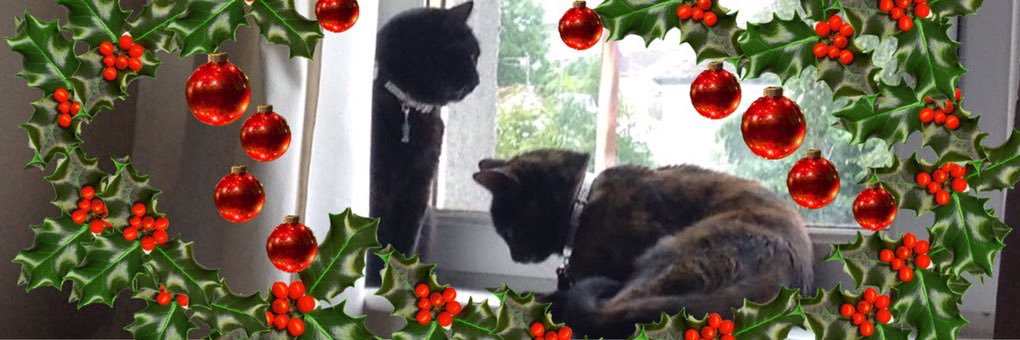 Velvet and skittles banner