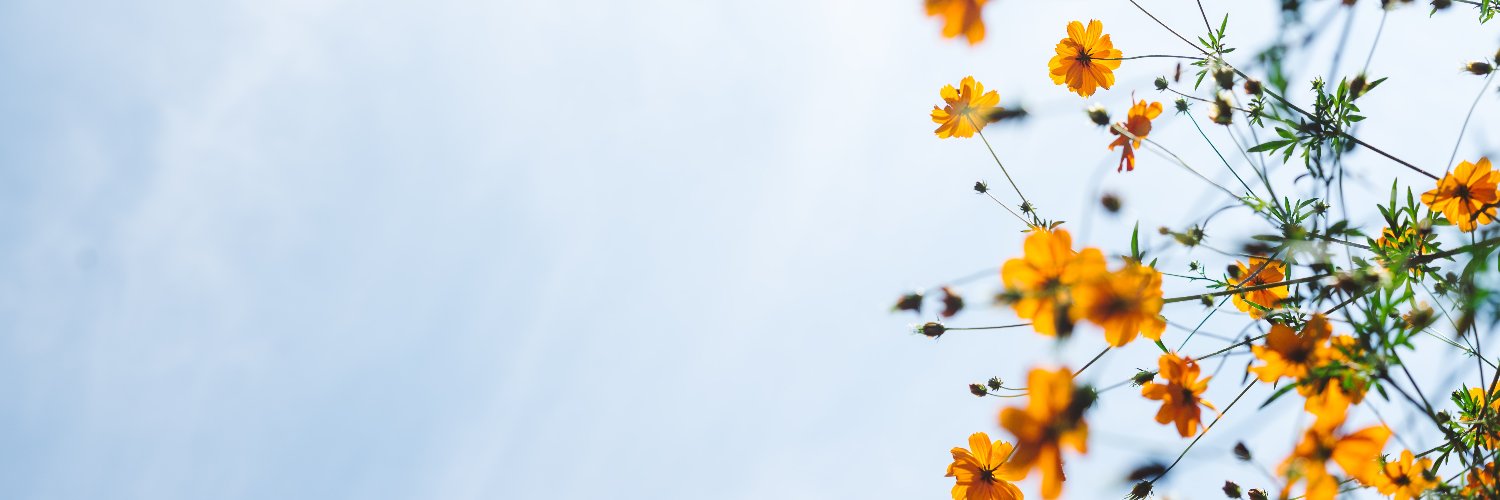 fumefleur's profile banner image