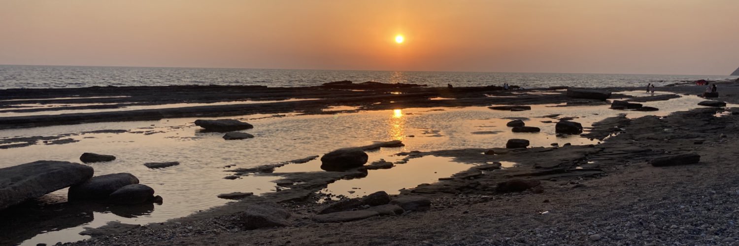 aysin_sumbul's profile banner image