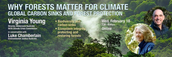 LiteFootPrints Profile Banner