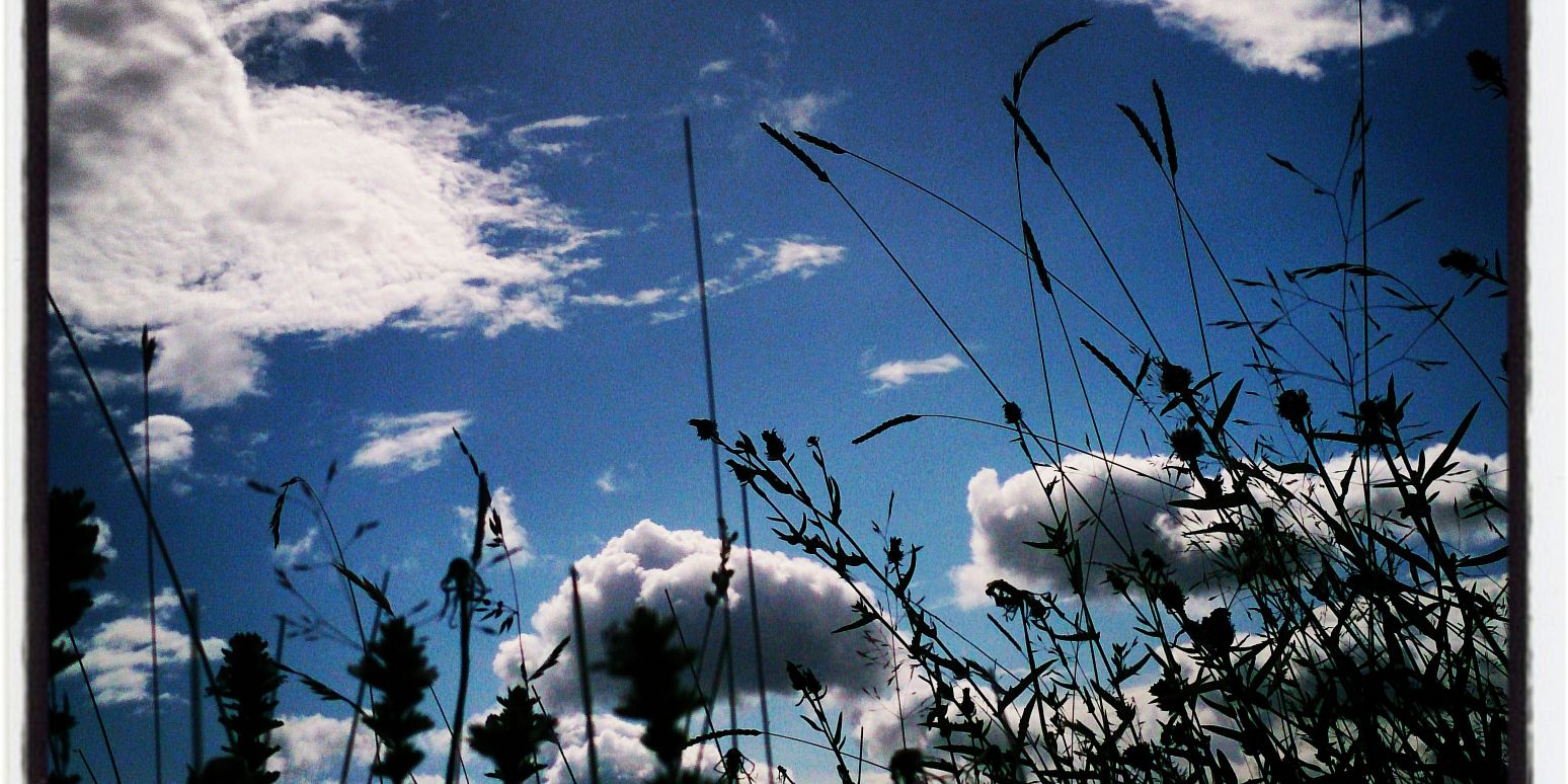 Landscape_Webs's profile banner image
