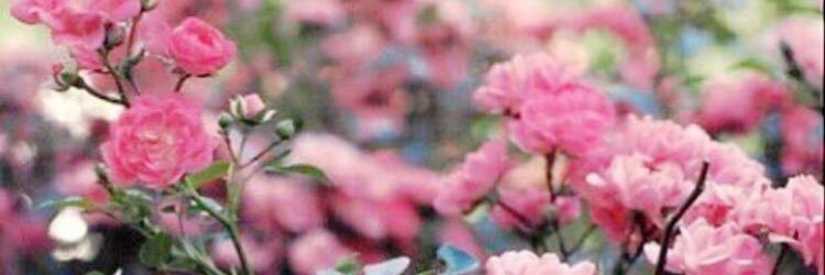 6_lyoon's profile banner image
