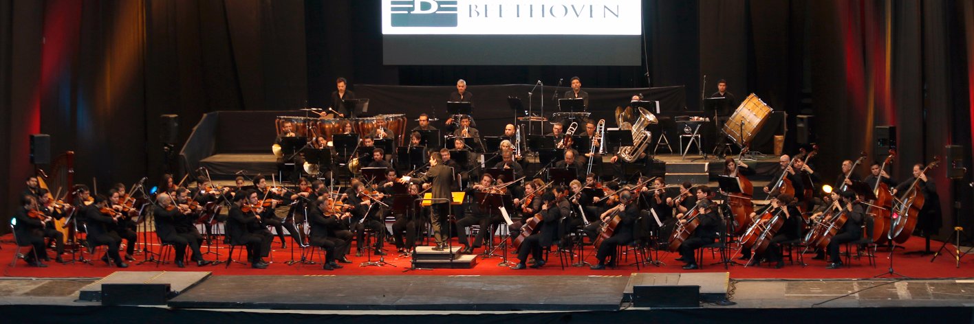 beethovenorg's profile banner image