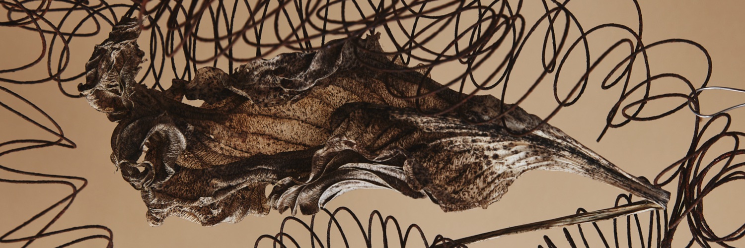 threeyearsold's profile banner image