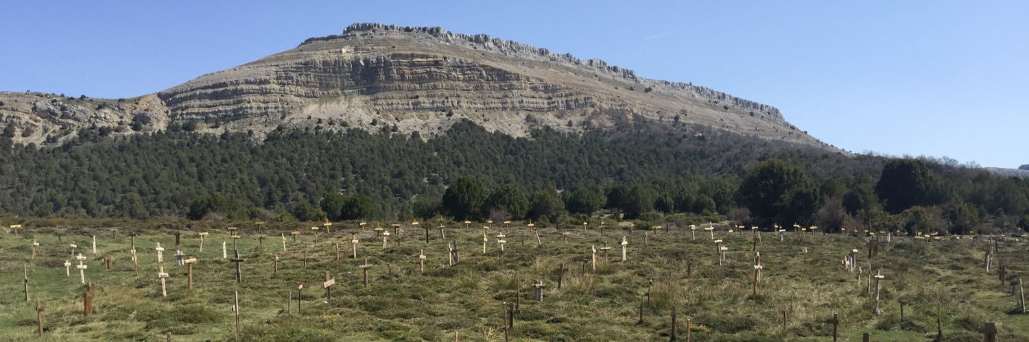 Victor M. Ruiz banner