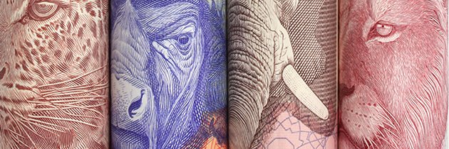 SaveYourRands's profile banner image