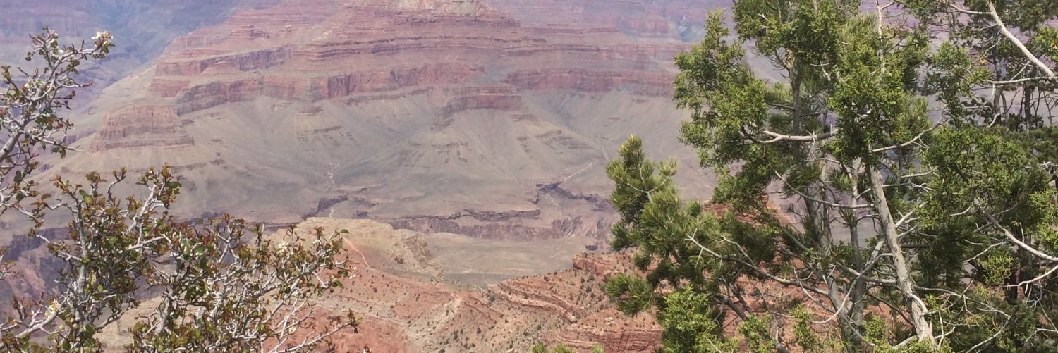 sniddgatta's profile banner image