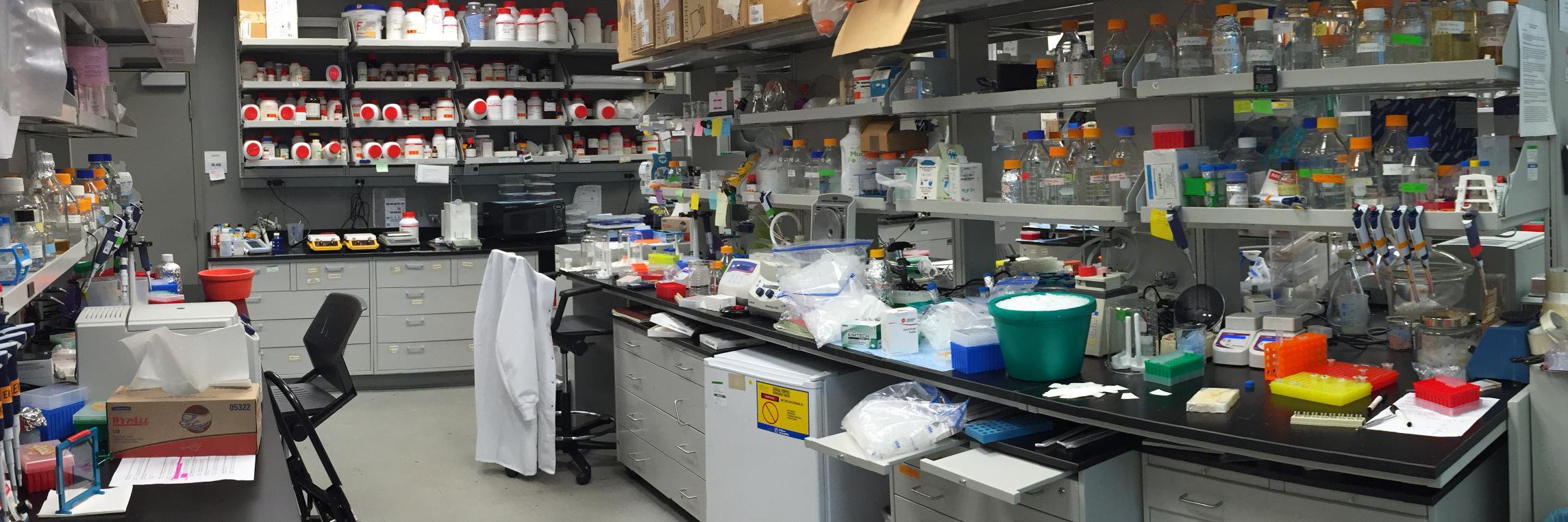 Max Valenstein, MD, PhD banner