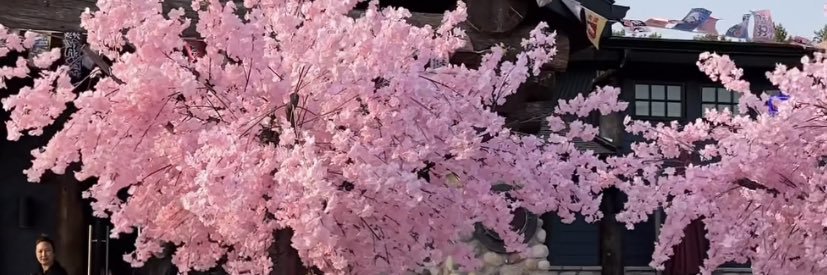 JBelovedd_'s profile banner image