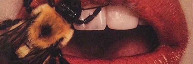 lugome_'s profile banner image