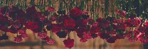 shereenkhaled0's profile banner image